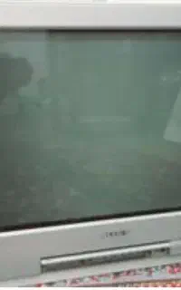 تلوزیون