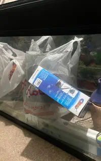 آکواریم شیشه خم