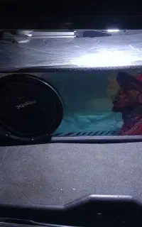 باکس ۱۲
