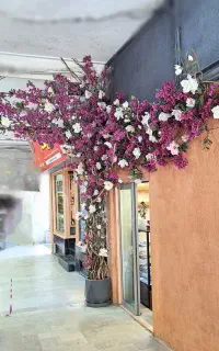 درخت شکوفه مصنوعی و درخت رونده مصنوعی