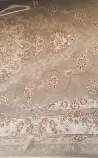 فرش سالم