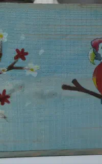 خانه عروس طوطی زیبا