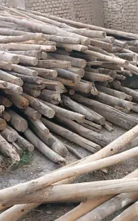خریدار تیر سقفی خشک