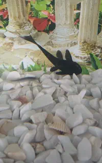 لجن خوارودرخت تزیینی