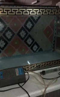 آکواریوم
