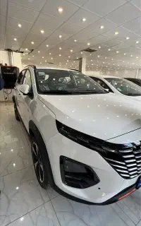 ایکس ۳۳ کراس اتو سفید تک برگ گارانتی فعال