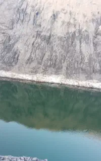 دنبال انواع کار
