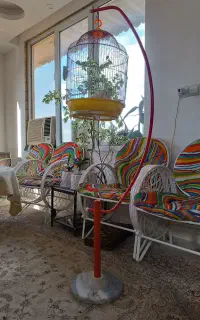 قفس پرنده