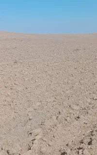 اجاره زمین کشاورزی