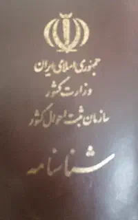 پیدا شده