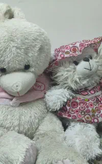 عروسک خرسی