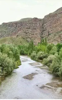 تـور یک روزه