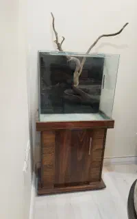 اکواریوم