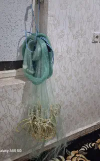 سلیه یا تور پرتابی