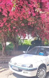 پژو پارس مدل اسفند ۹۳