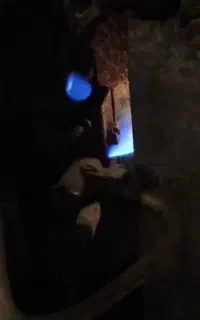 بخاری نیک کالا گاز نشت میده