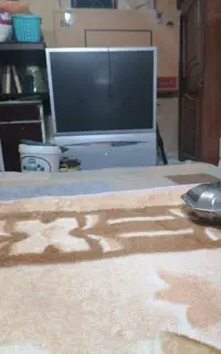 تلویزیون پروجکشن 43اینچ توشیبا