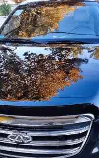 مجموعه آقای خودرو ، کارشناسی و پولیش سرامیک