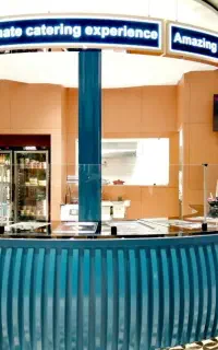 غذایی بیرون بر،سنتی/فست فود