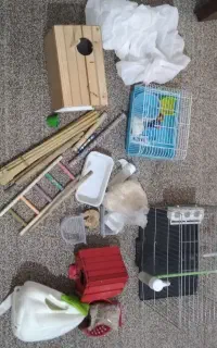 ملزومات پرنده