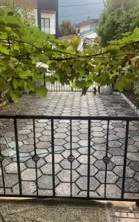 رهن کامل درچلندرحوضکتی