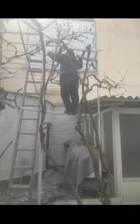 خدمات باغبانی وگل ‌کاری حرس درختان و هرس انگور.