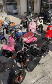 ms1 خریدوفروش تمام مدل (پاکشتی)