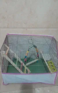 قفس با وسایل هاش