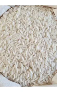 برنج طارم هاشمی