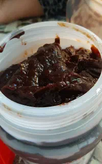 رب آلوچه اورگانیک