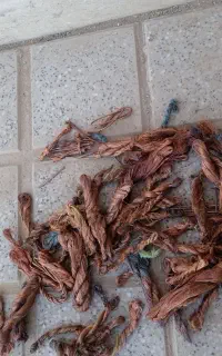 مس ض