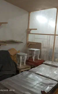 دستیار نقاش