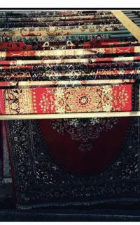 راننده قالیشویی
