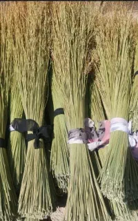 جارو دستی