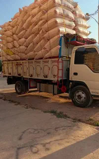 کاه گندم دیم کیسه شده مال کرمانشاه