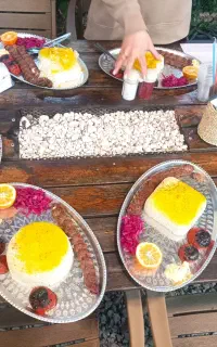 تامین غذای روزانه شرکت ها