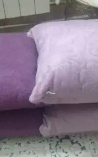 بالش