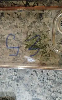قاب گوشی