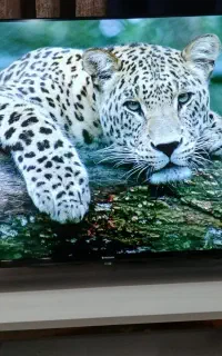 تلویزیون ال ای دی 43اینج مدیا استار اندروید