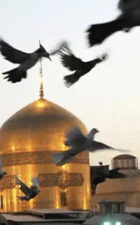 تور مشهد
