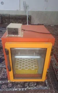 دستگاه جوجه کشی