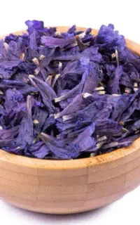 گل گاوزبان مازندران