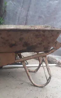فرغون