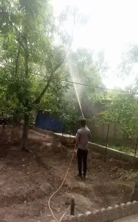 باغبانی درختکاری و سمپاشی