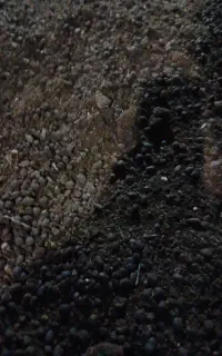 کود حیوانی گاوی گوسفندی خشک کیسه ای ۲۰۰هزارتومان