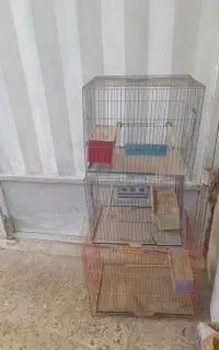 قفس پرنده