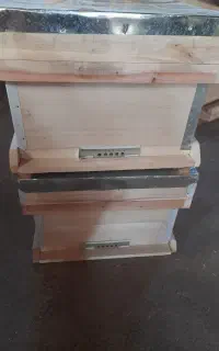 کندو زنبور عسل