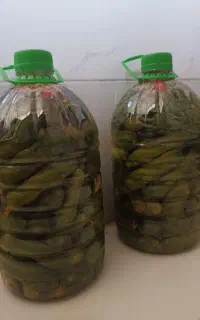 خیار شور خانگی