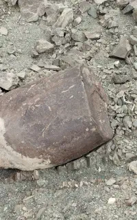 استا بنا هستم دیوار چینی