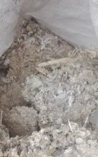 کود‌کبوتر